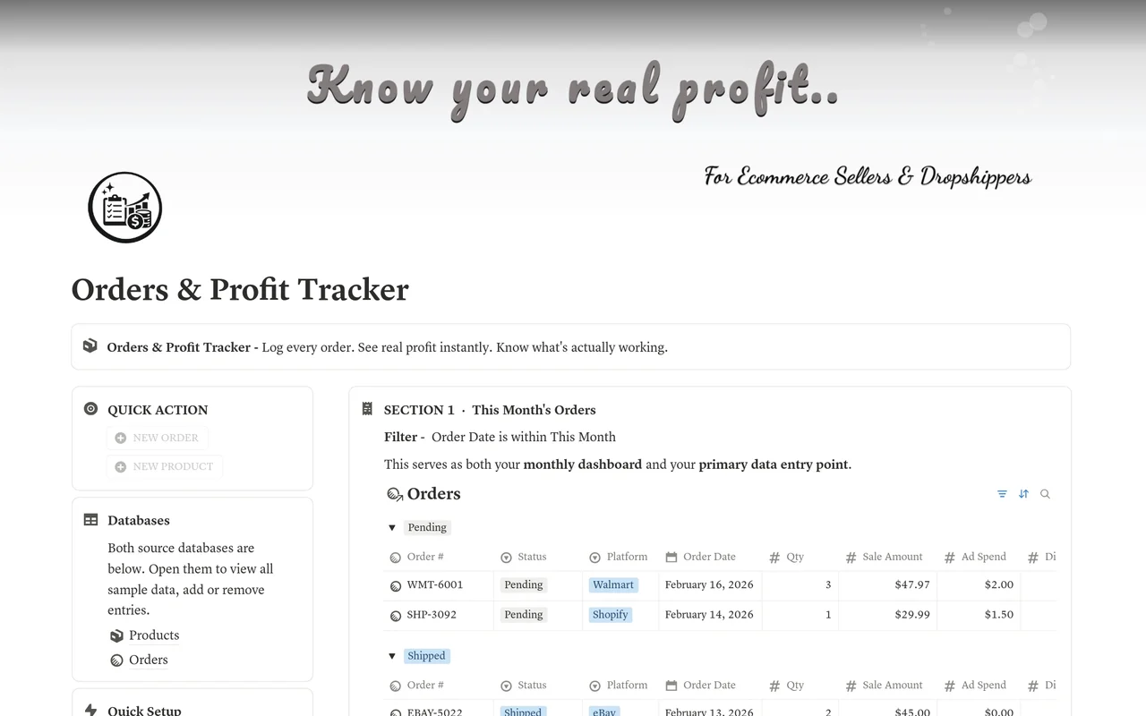 Ecommerce & Dropship Profit Tracker preview