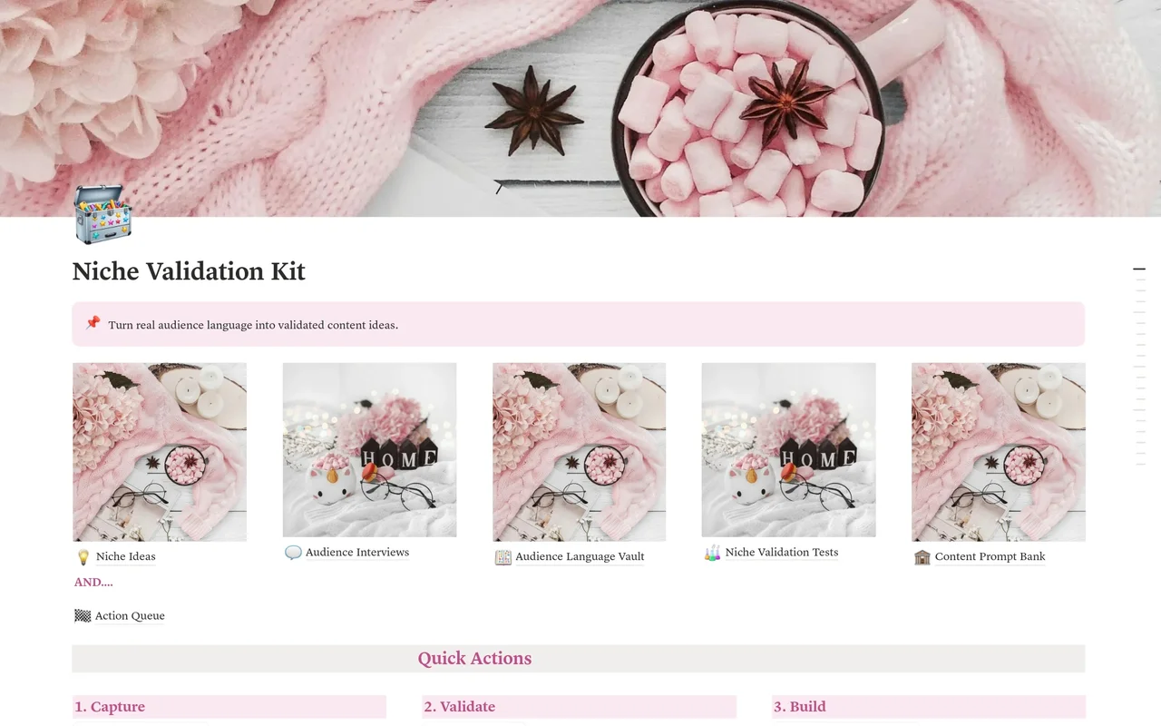 Niche Validation Kit preview