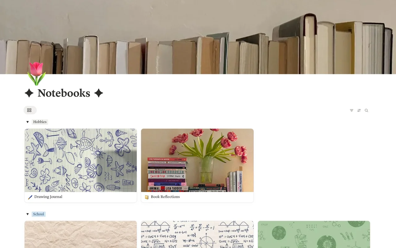 Notebook Collection preview