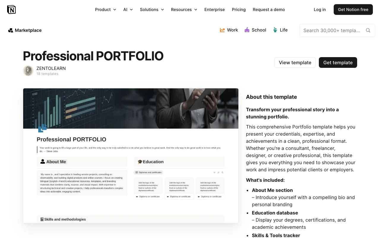 Professional PORTFOLIO preview